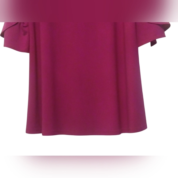 Clara Sun-Woo - NWT, XS Raspberry Colored Blouse W/ 3/4 Flutter Sleeves, V-Neck - Picture 7 of 11